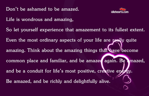 Don’t Be Ashamed To Be Amazed. Life Is…