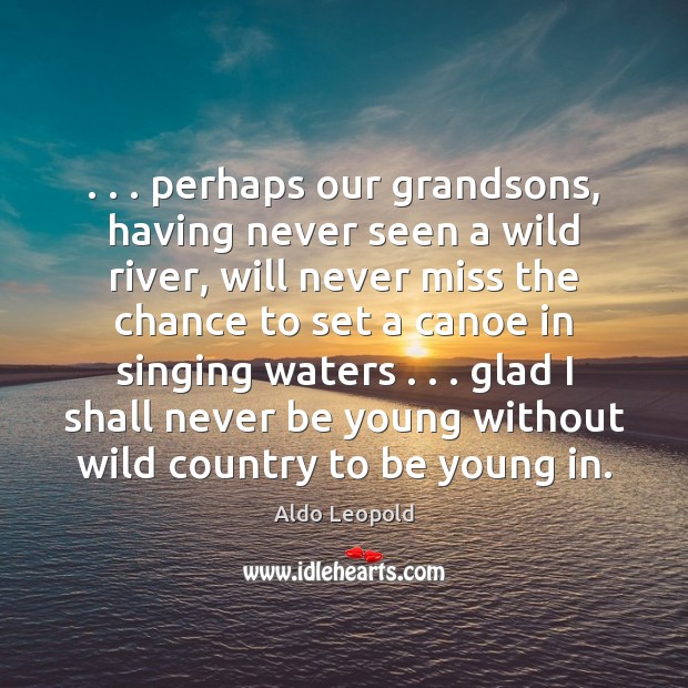 . . . perhaps our grandsons, having never seen a wild river, will never miss Aldo Leopold Picture Quote
