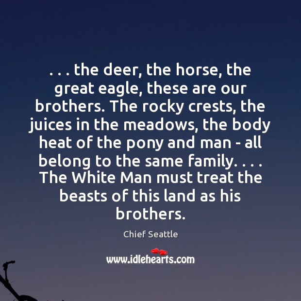 . . . the deer, the horse, the great eagle, these are our brothers. The Chief Seattle Picture Quote