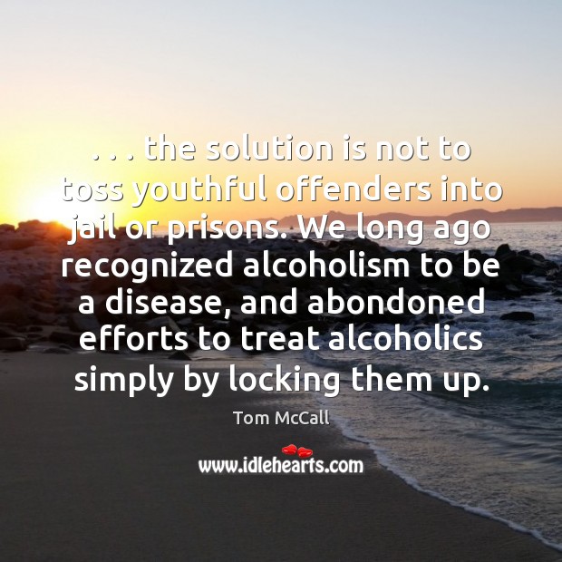 . . . the solution is not to toss youthful offenders into jail or prisons. Solution Quotes Image