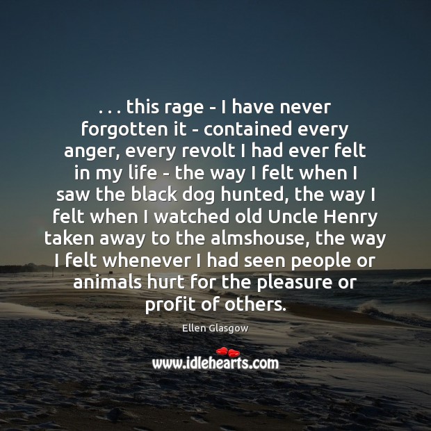 . . . this rage – I have never forgotten it – contained every anger, Ellen Glasgow Picture Quote