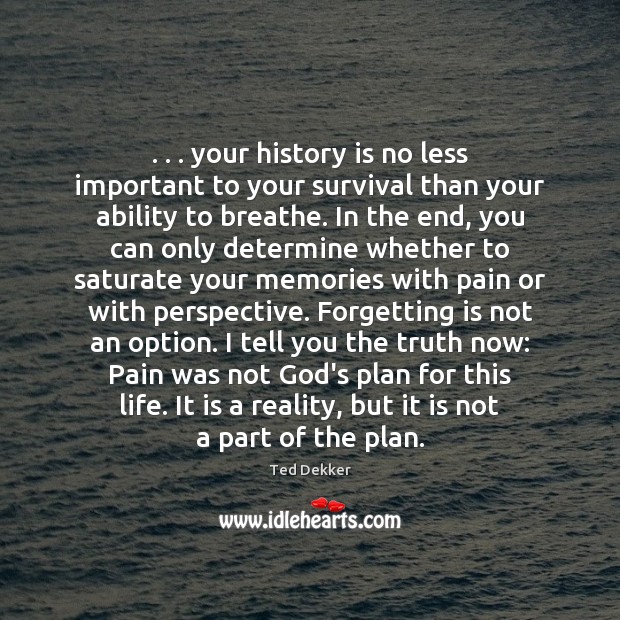 . . . your history is no less important to your survival than your ability History Quotes Image