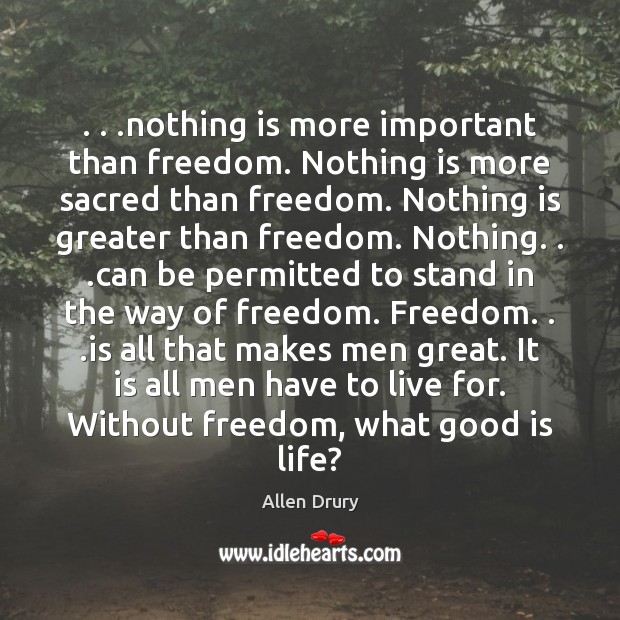 . . .nothing is more important than freedom. Nothing is more sacred than freedom. Allen Drury Picture Quote