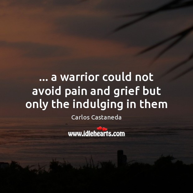 … a warrior could not avoid pain and grief but only the indulging in them Image