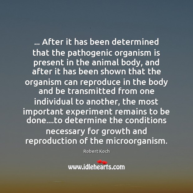 … After it has been determined that the pathogenic organism is present in Robert Koch Picture Quote