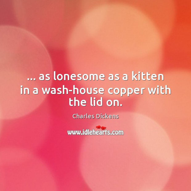 … as lonesome as a kitten in a wash-house copper with the lid on. Image