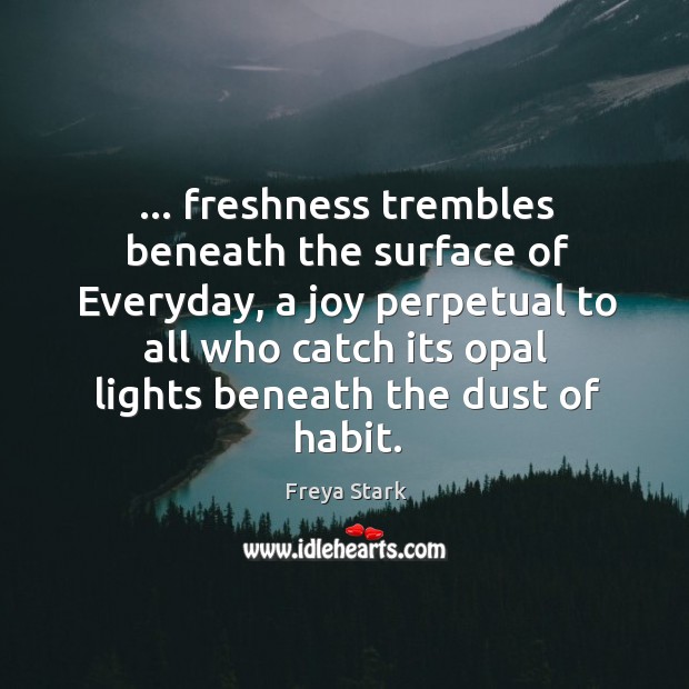 … freshness trembles beneath the surface of Everyday, a joy perpetual to all 