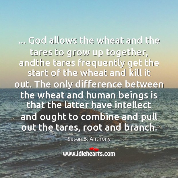 … God allows the wheat and the tares to grow up together, andthe Susan B. Anthony Picture Quote