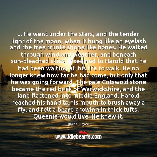 … He went under the stars, and the tender light of the moon, Rachel Joyce Picture Quote