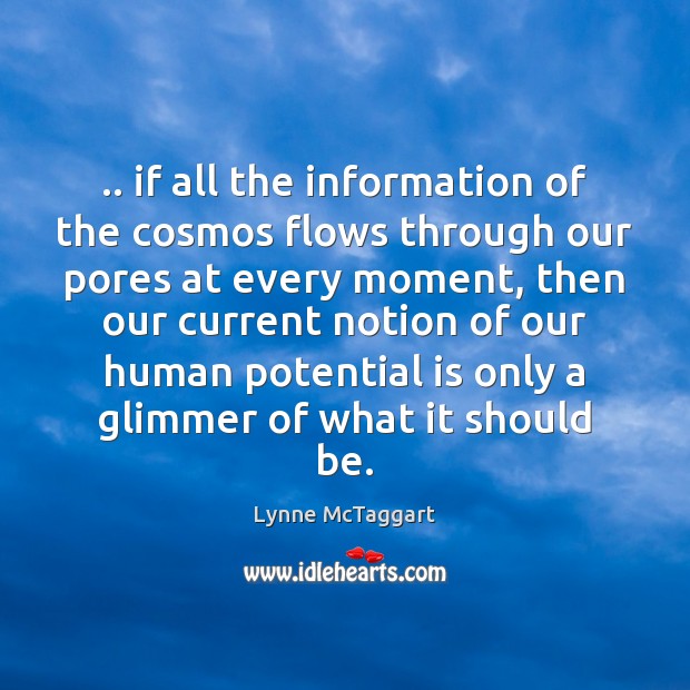 .. if all the information of the cosmos flows through our pores at Lynne McTaggart Picture Quote