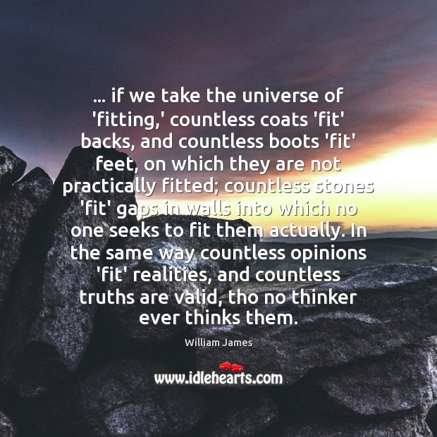 … if we take the universe of ‘fitting,’ countless coats ‘fit’ backs, William James Picture Quote
