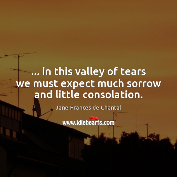 … in this valley of tears we must expect much sorrow and little consolation. Jane Frances de Chantal Picture Quote