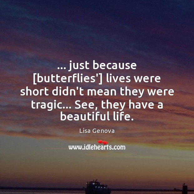 … just because [butterflies’] lives were short didn’t mean they were tragic… See, Image