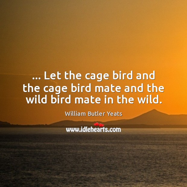… Let the cage bird and the cage bird mate and the wild bird mate in the wild. William Butler Yeats Picture Quote