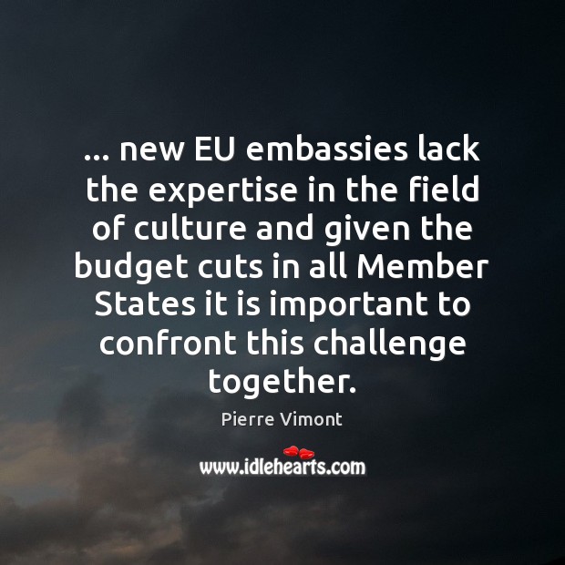 … new EU embassies lack the expertise in the field of culture and Challenge Quotes Image