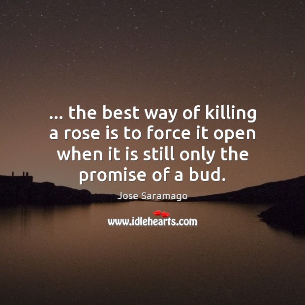 … the best way of killing a rose is to force it open Promise Quotes Image