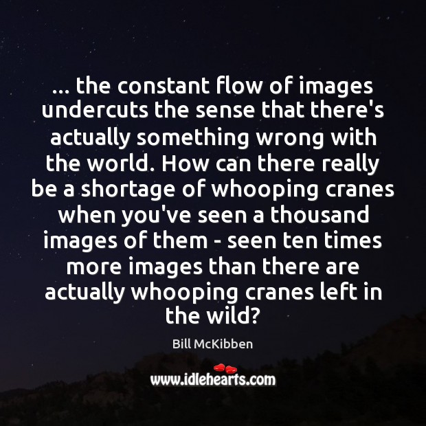 … the constant flow of images undercuts the sense that there’s actually something Bill McKibben Picture Quote