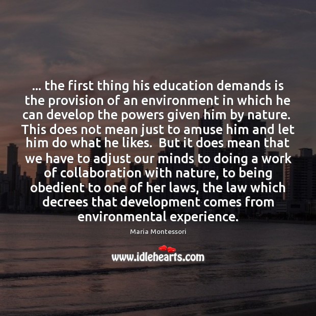 … the first thing his education demands is the provision of an environment Maria Montessori Picture Quote