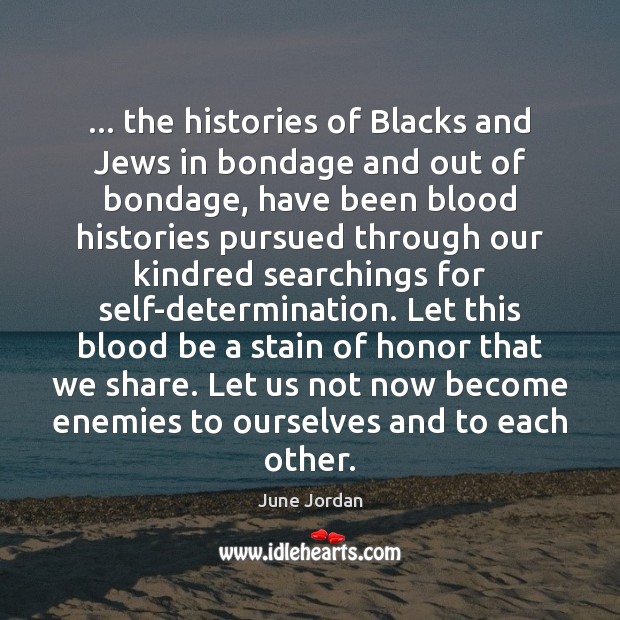 … the histories of Blacks and Jews in bondage and out of bondage, June Jordan Picture Quote