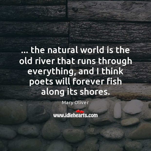 … the natural world is the old river that runs through everything, and Mary Oliver Picture Quote