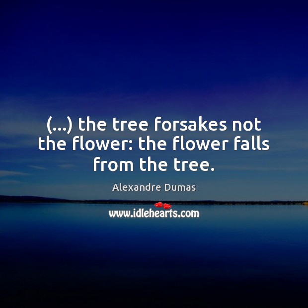 (…) the tree forsakes not the flower: the flower falls from the tree. Alexandre Dumas Picture Quote