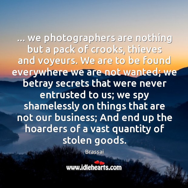 … we photographers are nothing but a pack of crooks, thieves and voyeurs. Brassai Picture Quote