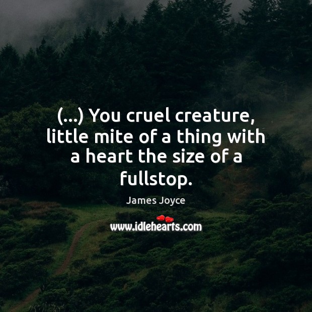 (…) You cruel creature, little mite of a thing with a heart the size of a fullstop. James Joyce Picture Quote