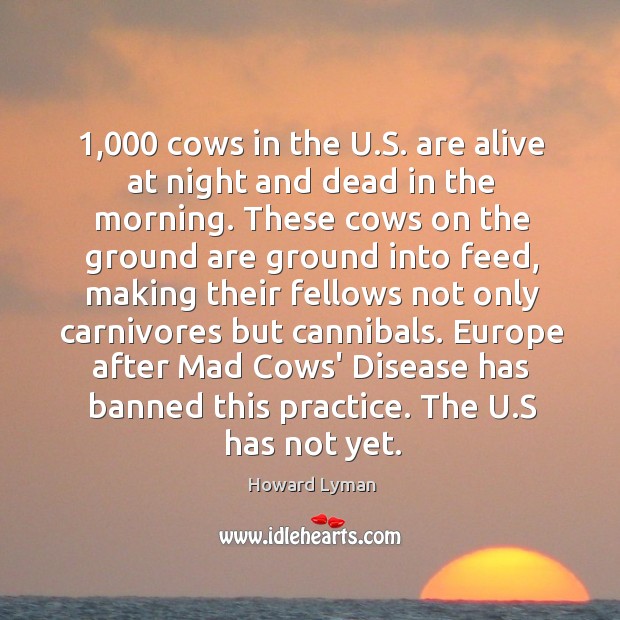 1,000 cows in the U.S. are alive at night and dead in Howard Lyman Picture Quote