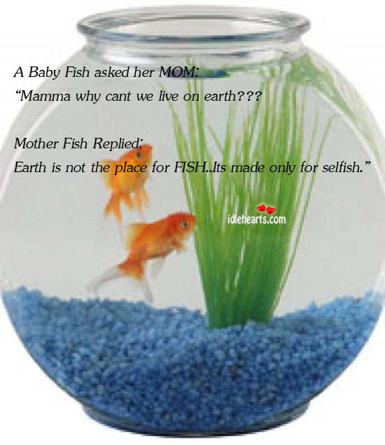 A baby fish asked her mom: “mamma why Earth Quotes Image