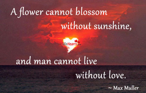 A flower cannot blossom without sunshine. Image