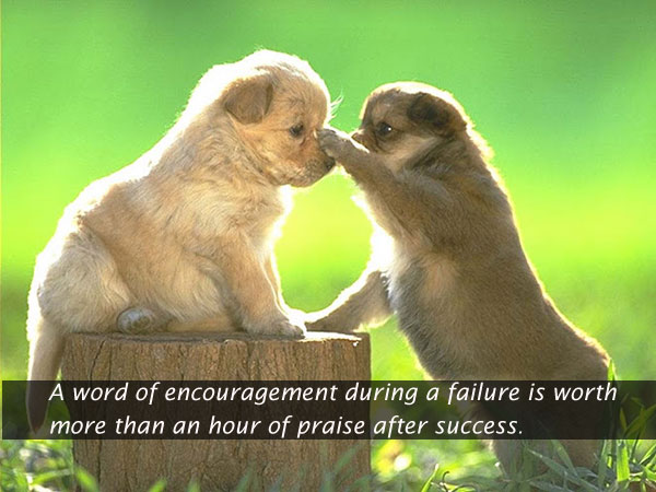 A word of encouragement during a failure is worth more Image