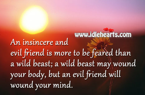 An insincere and evil friend is more to be feared than a wild beast Image