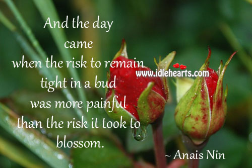 And the day came when the risk to remain tight in a bud Anais Nin Picture Quote