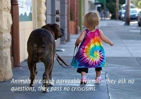 Animals are such agreeable friends. Picture Quotes Image