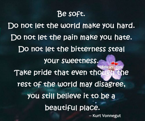 Be soft. Do not let the world make you hard. Wise Quotes Image