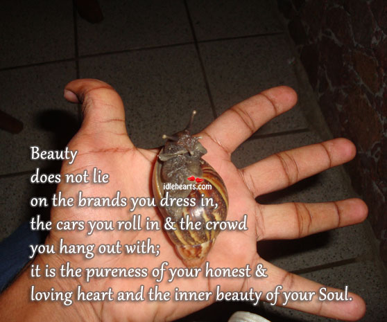 Beauty does not lie on the brands you dress in Image