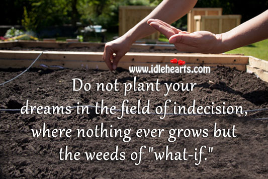 Do not plant your dreams in the field of indecision. Image