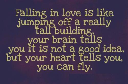 Falling in love is like jumping off a tall building Love Is Quotes Image