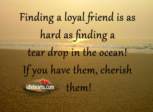 Finding a loyal friend is as hard 