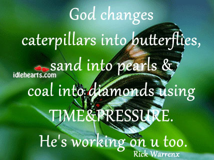 God changes caterpillars into butterflies. Rick Warren Picture Quote