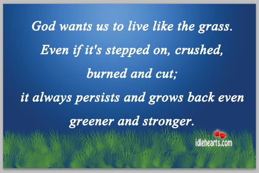 God wants us to live like the grass. Image