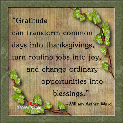 Gratitude can transform common days into thanksgivings. Blessings Quotes Image