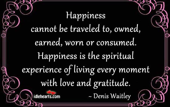 Happiness cannot be traveled to, owned, earned Denis Waitley Picture Quote