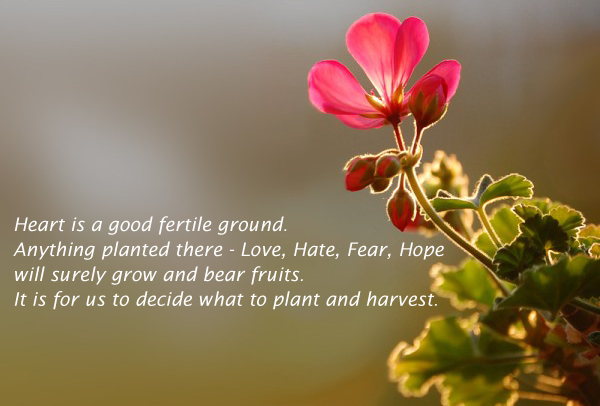Heart is a good fertile ground. Anything planted there Image