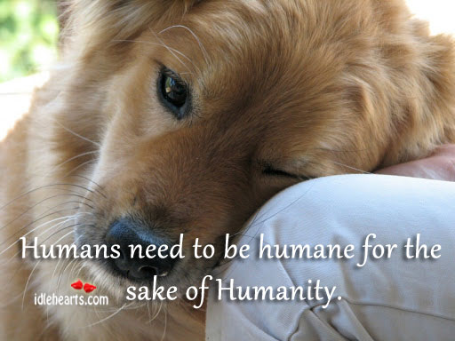 Humans need to be humane for the sake of humanity Humanity Quotes Image