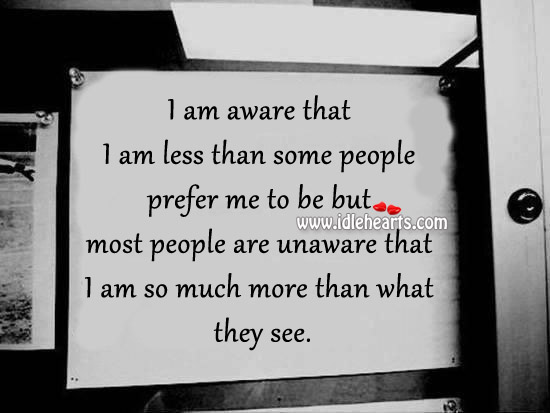 I am aware that I am less than some people prefer me to be Image