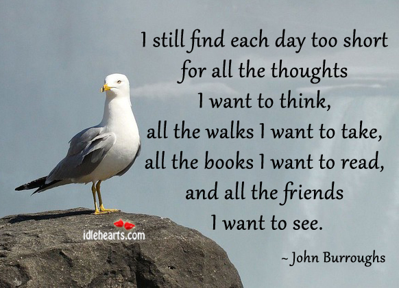 I still find each day too short for all the thoughts.. John Burroughs Picture Quote