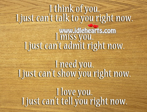 I just can’t tell you I Love You Quotes Image