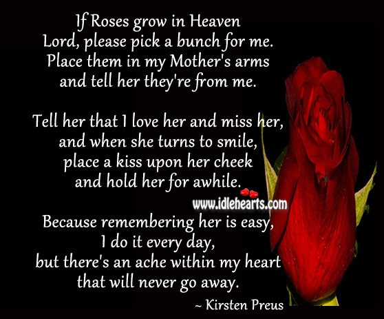 If roses grow in heaven Image