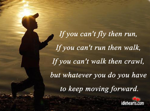 If you can’t fly then run, if you can’t run then walk Image